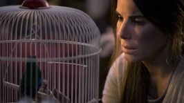 jwuqitdjzjvlhg8zd90j